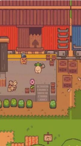 大头菜小子截图欣赏