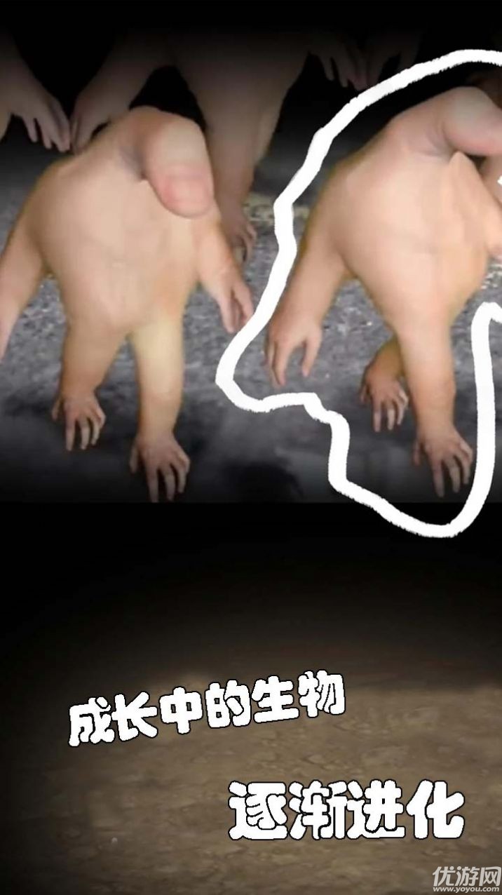 小小手指进化之路截图欣赏