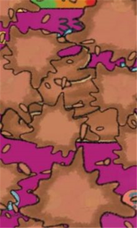 食物与便便截图欣赏