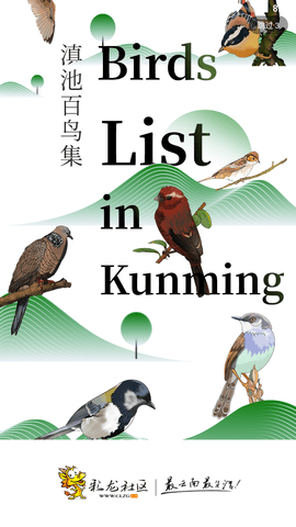 彩龙社区截图欣赏