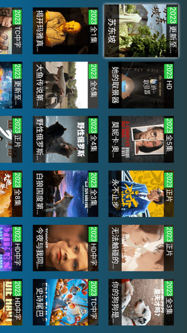 黑枫TV截图欣赏