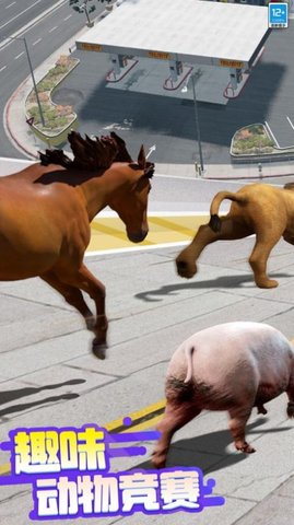 超级动物竞速游戏截图