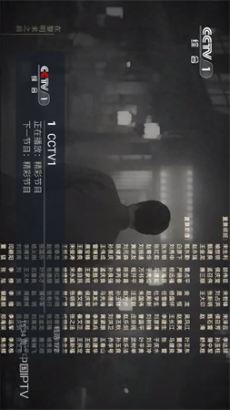 龙王TV4截图1