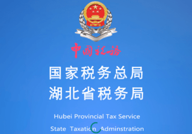 湖北省电子税务局