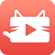 猫咪