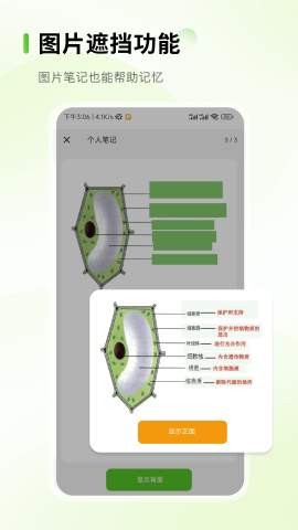 Anymo游戏截图