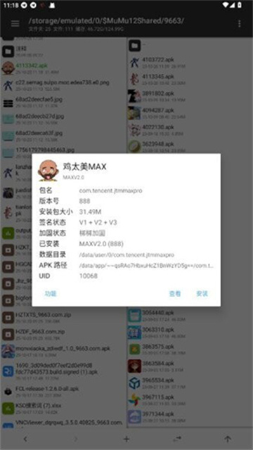鸡太美MAX游戏截图