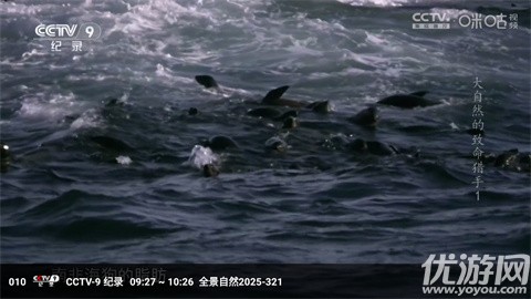 冰茶蜂蜜截图欣赏