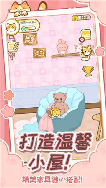 领养一只流浪猫