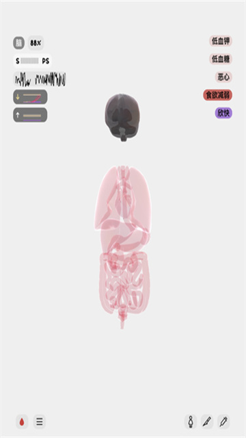 生命LIFE截图欣赏