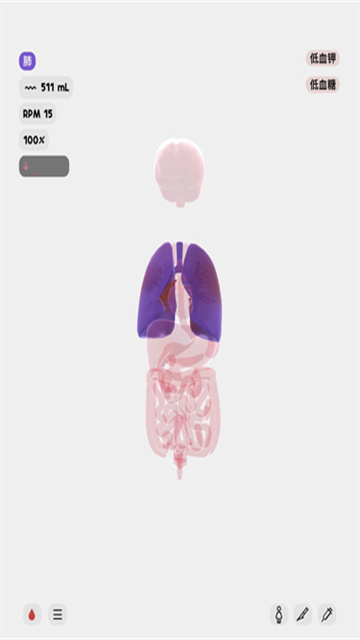 生命LIFE截图欣赏