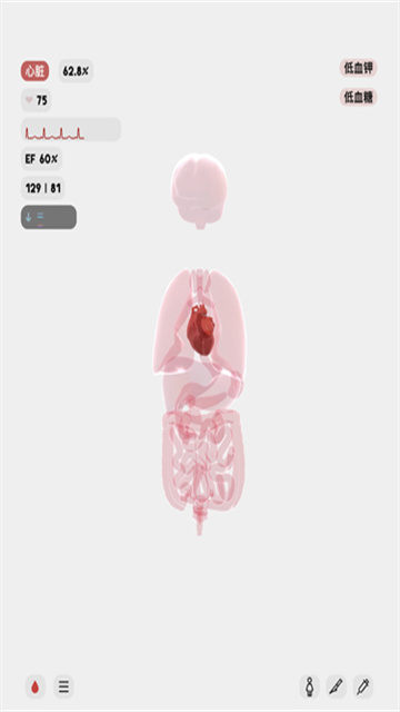 生命LIFE截图欣赏