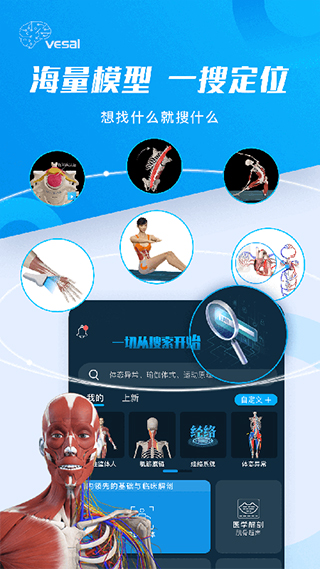 解剖大师游戏截图