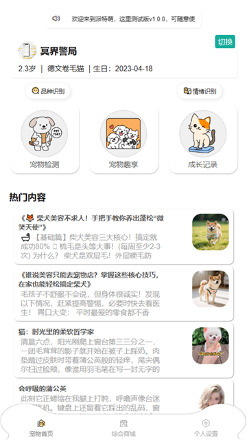 了不起的派特萌游戏截图