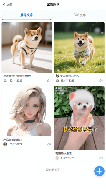 了不起的派特萌游戏截图