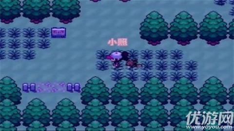 口袋妖怪零维E界游戏截图