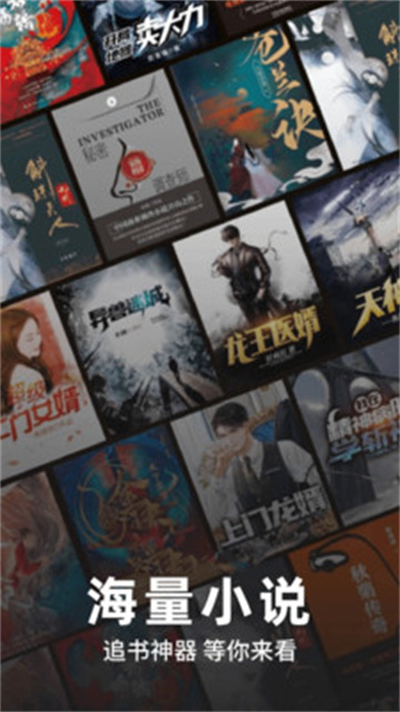 番如看免费小说游戏截图