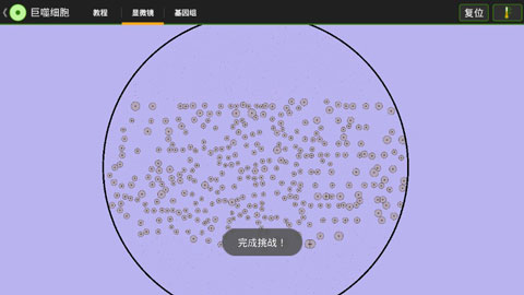 细胞实验室游戏截图