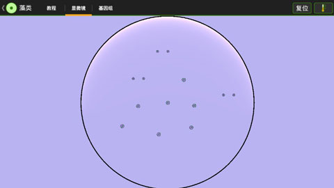 细胞实验室游戏截图