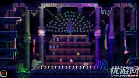 动物井截图欣赏