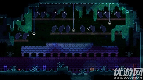 动物井截图欣赏