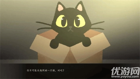 别带这只猫回家游戏截图