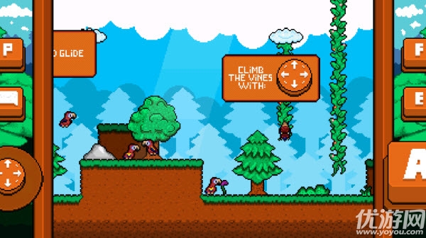 最后的金刚鹦鹉