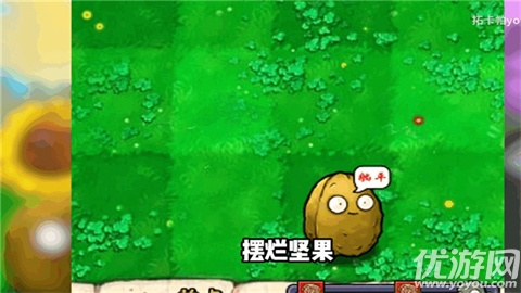 植物大战僵尸打工人版