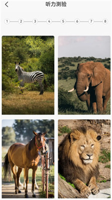 英语分级兔游戏截图