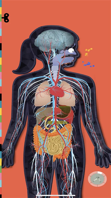 人体探秘游戏截图