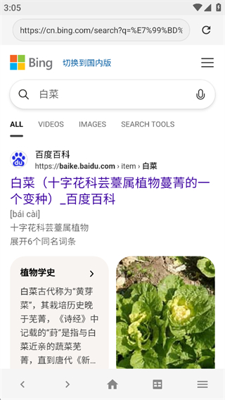 盒子浏览器游戏截图