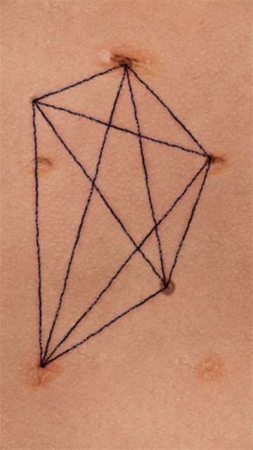 盛开的歌截图欣赏