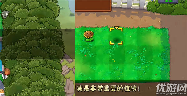 植物大战僵尸加难版