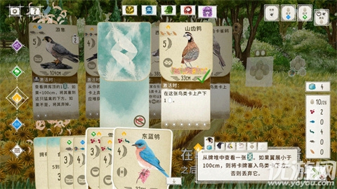 展翅翱翔游戏截图