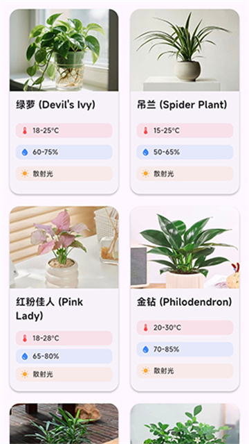 lucki智能花盆游戏截图