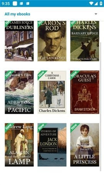 ebook电子书游戏截图