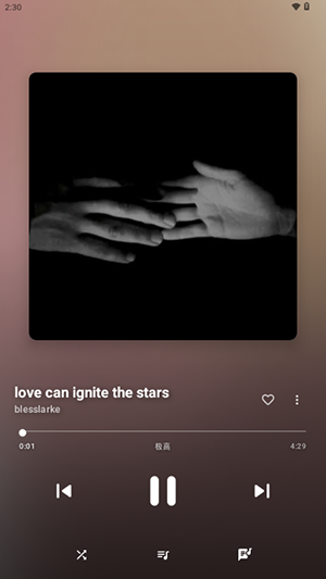 梅花音乐游戏截图