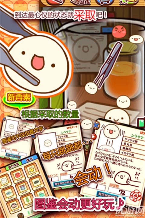 新种发现跳跳研究所游戏截图