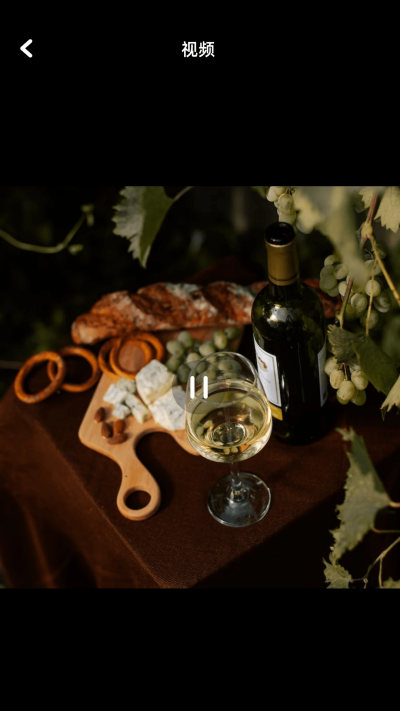 净化大师游戏截图