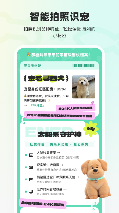 宠拍档游戏截图