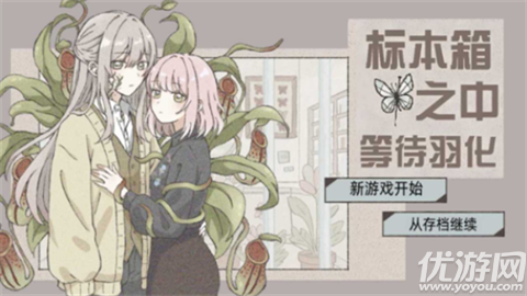 在标本箱中等待羽化