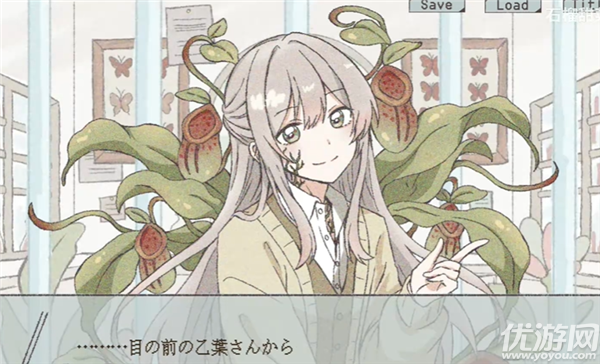 在标本箱中等待羽化