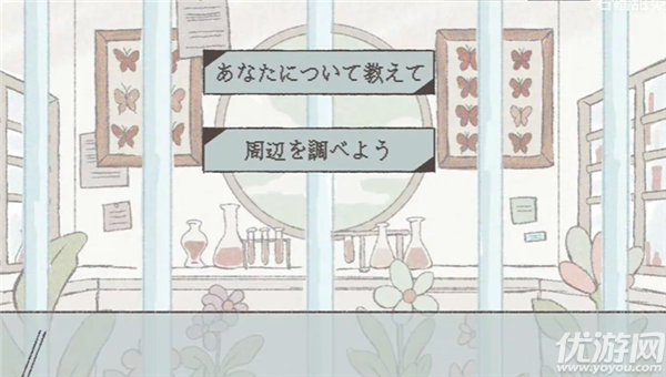 在标本箱中等待羽化