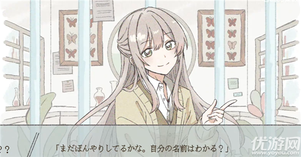 在标本箱中等待羽化