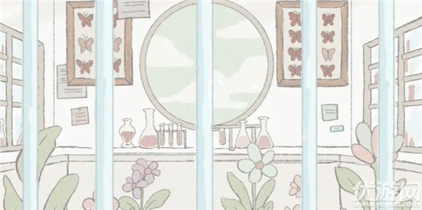 在标本箱中等待羽化