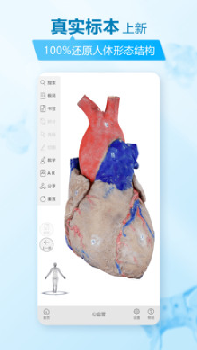 维萨里3d解剖游戏截图