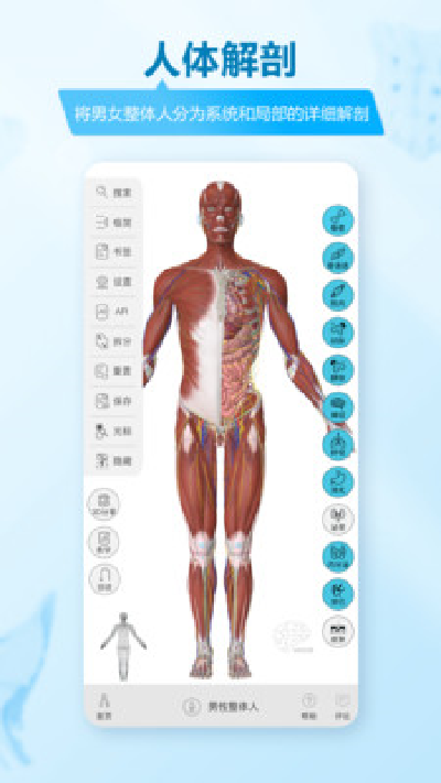 维萨里3d解剖游戏截图