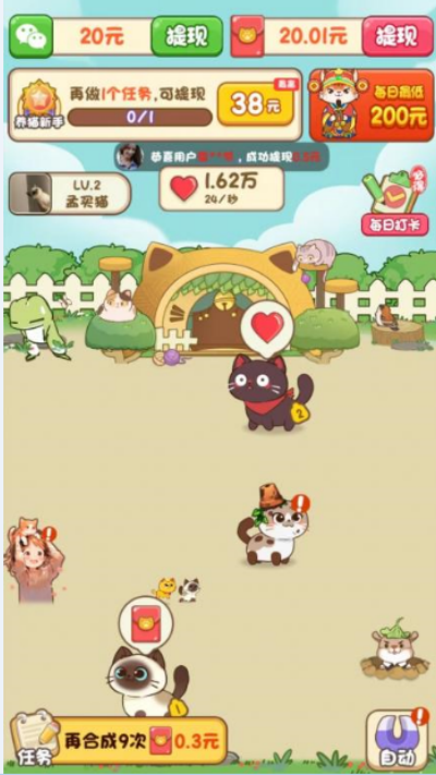 我家猫舍游戏截图