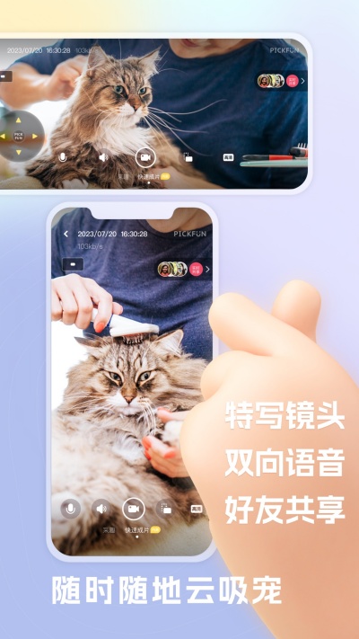 皮克方游戏截图