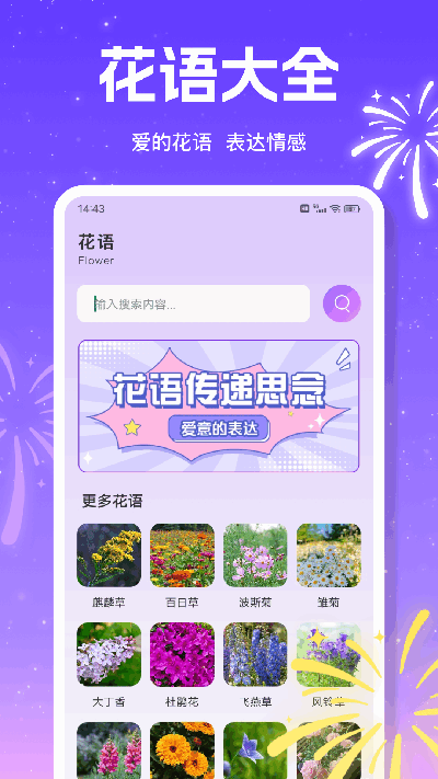 小荷花